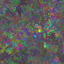 World at epoch 28000