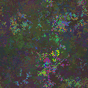 World at epoch 30000