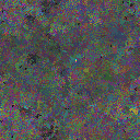 World at epoch 31000