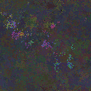 World at epoch 34000