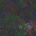 World at epoch 35000