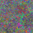 World at epoch 34000