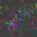 World at epoch 24000