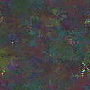 World at epoch 25000