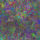 World at epoch 39000