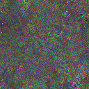World at epoch 40000