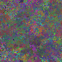 World at epoch 40000