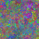 World at epoch 25000
