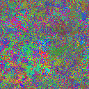 World at epoch 35000