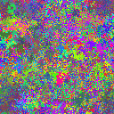 World at epoch 35000