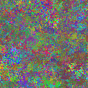 World at epoch 40000