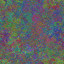 World at epoch 35000