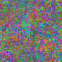 World at epoch 29000