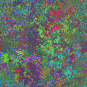 World at epoch 37000