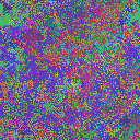World at epoch 25000