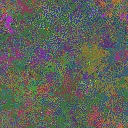 World at epoch 39000