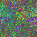 World at epoch 25000