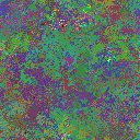 World at epoch 39000