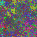 World at epoch 40000