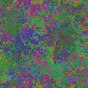 World at epoch 35000