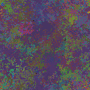 World at epoch 35000