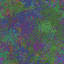 World at epoch 37000