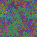 World at epoch 38000