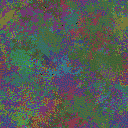 World at epoch 40000