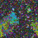 World at epoch 5000