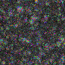 World at epoch 1000