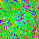 World at epoch 19000