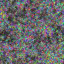 World at epoch 5000