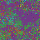 World at epoch 5000