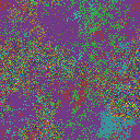 World at epoch 6000