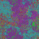 World at epoch 10000