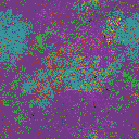 World at epoch 11000