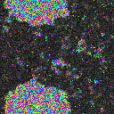 World at epoch 15000