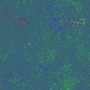 World at epoch 19000