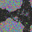 World at epoch 19000