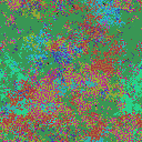 World at epoch 50000