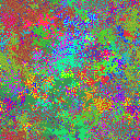 World at epoch 30000
