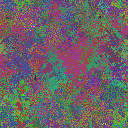 World at epoch 15000
