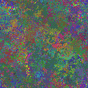 World at epoch 19000