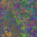World at epoch 20000