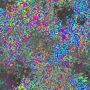 World at epoch 15000