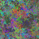 World at epoch 17000