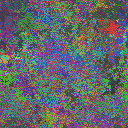 World at epoch 20000