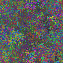 World at epoch 5000