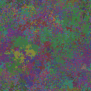World at epoch 16000