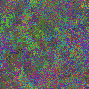 World at epoch 17000